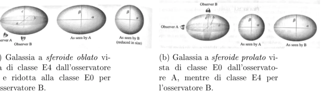 Figura 3: Per osservatori collocati in posizioni diverse, uno stesso sferoide oblato o prolato può apparire più o meno schiacciato.