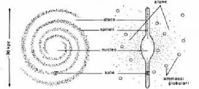 Figura 7: Schema di una galassia a spirale. Le galassie a spirale sono costituite da dischi molto sottili in cui troviamo le stelle, che hanno orbite circa circolari