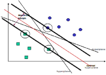 Figura 3.3: L’algoritmo SVM: in verde e in blu i dati linearmente separabili, i punti cerchiati sono i vettori di supporto [15].