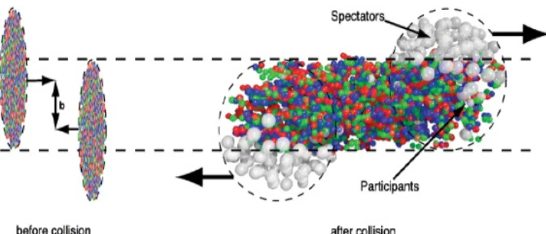 Figura 1.4: Collisione tra ioni pesanti. Prima della collisione a causa della contrazione Lo- Lo-rentziana delle distanze i nuclei sono raffigurati come dischi di spessore infinitesimo