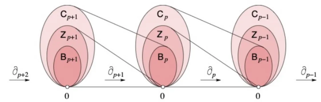 Figura 2.3: Complesso di catene costituito da una sequenza lineare di gruppi di catene, di ciclo e di bordo connessi da omomorfismi.
