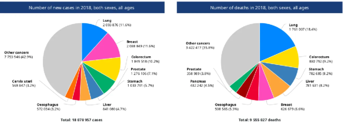 Figura 2. Numero di nuovi casi di cancro e numero di morti nel 2018. Dati ottenuti dal  WHO  (World Health Organization, 2018) 