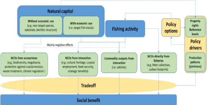 Figure 2 shows a core representation of the framework that considers aggregation of commodity  outputs and NCOs that could generate social welfare, deriving from the relation between natural  capital and fishing activity