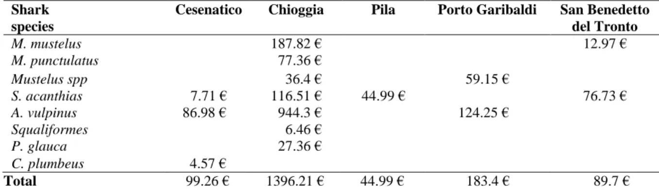 Table 11. Number of shark individuals per port for the year 2019. 