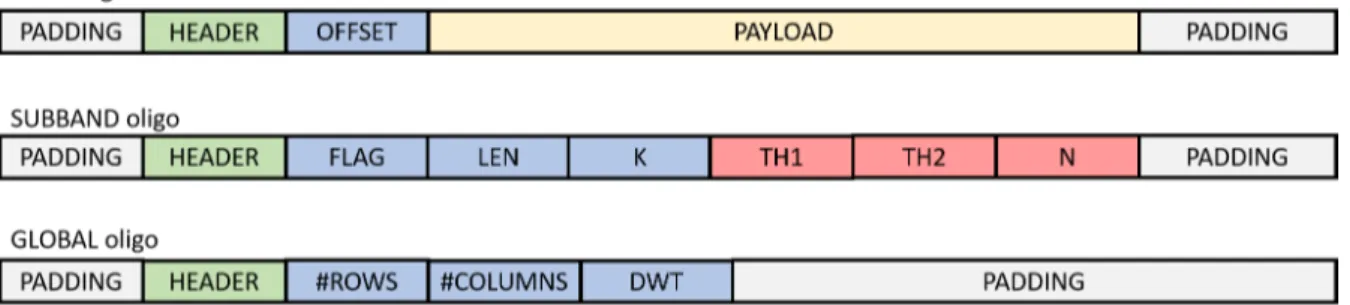 Figure 5: Formatting schema for the three oligo types. Oligo identifiers in green, metadata used during decoding in blue, metadata used during post-processing in red, and encoded information in yellow.
