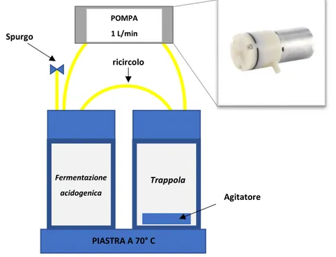 Figura 35: Schema del sistema di fermentazione e strippaggio.TrappolaFermentazione acidogenica POMPA                1 L/min AgitatorePIASTRA A 70° CSpurgoricircolo