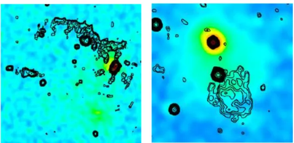 Figura 4: I contorni neri delineano l’emissione radio, a colori è mostrata l’immagine a raggi X