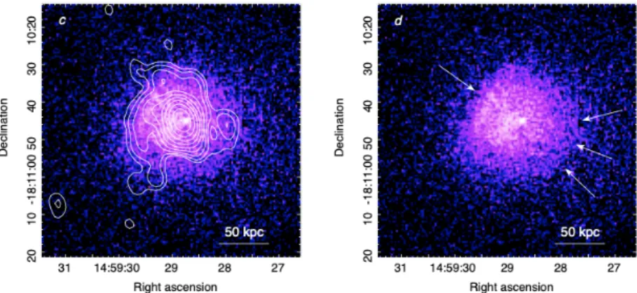Figure 1.20: 0.5 - 4 keV Chandra image of the galaxy clusters AS780, with radio contours at 610 MHz showing the mini halo emission (left ), and arrows indicating the position of two possible cold fronts (right ) ( Giacintucci et al