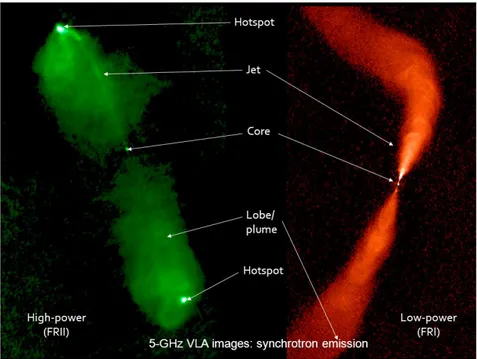 Figure 1.24: Main components of radio loud AGN in FRI and FRII radio galaxies ( Evans et al