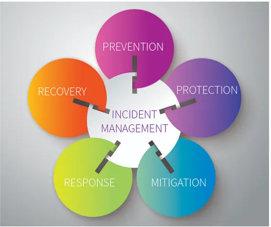 Figure 9. National incident management system