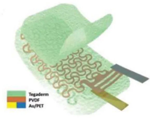 Figura 3.1.a. schematizzazione dell’e-tattoo in PVDF 