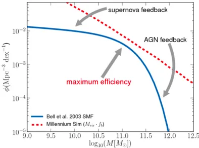 Figure 3.4 compares the DM MF to the galaxy SMF, showing the role of SNe and AGN feedbacks to lower the SMF at both high and low masses