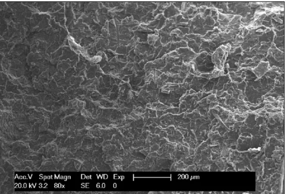 Figure 27. The morphology of fractured surface of PLA-CS10 with 80X magnification. 