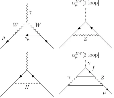 Figure 1.2: 1-loop and 2-loops electroweak contributions to the muon anomalous mag- mag-netic moment.