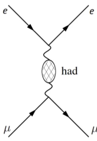Figure 2.2: Hadronic contribution in the µe −→ µe scattering event.