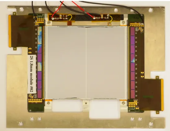Figure 2.7: A picture of the CMS 2S module.