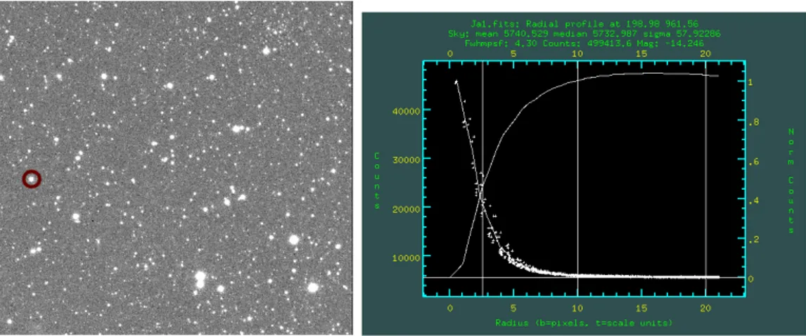 Figura 2.7: Immagine in banda J chip1, il cerchio rosso indica la stella selezionata e a destra viene riportato il suo profilo di brillanza.