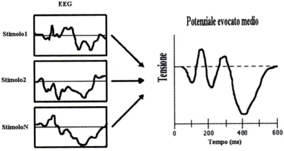 Figura  1.10:  Tecnica  dell’averaging:  i  segmenti  EEG  time-locked  con  lo  stimolo  vengono  mediati  tra  di  loro  per  ottenere il potenziale evocato medio (tratta da [1]) 