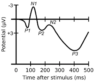 Figura 1.11: Potenziale evento-correlato che si presenta in risposta a uno stimolo e sue principali componenti