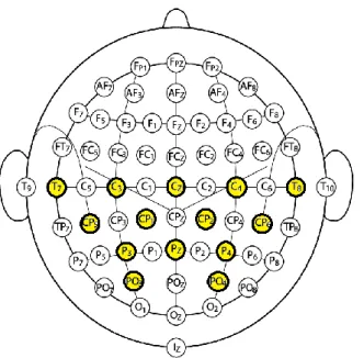 Figura  2.1:  Elettrodi  utilizzati  in  questo  lavoro  di  tesi  (evidenziati  in  giallo)  per  l’acquisizione  dei  segnali  EEG,   modifica da [14] 