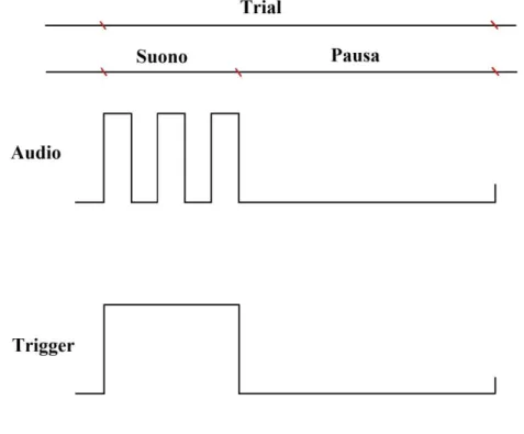 Figura 2.4: Schema di funzionamento del segnale  di trigger all’interno di un singolo trial