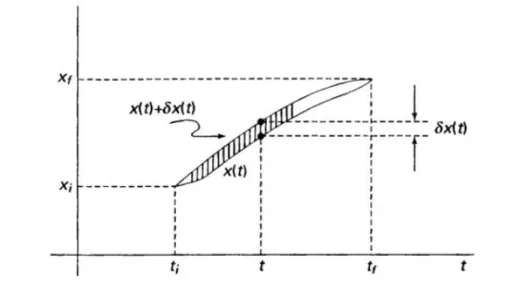 Figura 1.1: percorso x(t) e sua variazione x(t) + δx(t). La variazione si annulla per t = t i