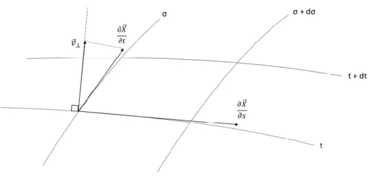 Figura 4.5: Una piccola porzione di superficie di universo sulla quale sono riportati il vettore ∂ ~ X/∂t, la velocità trasversale ~ v ⊥ e il vettore unitario ∂ ~ X/∂s.
