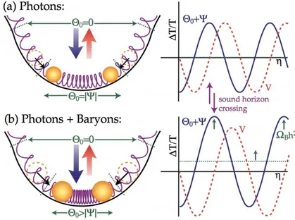 Figura 3.2: Oscillazioni acustiche. (a) Sistema con Ω b = 0. (b) Sistema con Ω b 6= 0 [7].