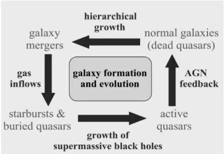 Figure 1.4: Schematic representation of a “cosmic cycle” for galaxy formation and evo- evo-lution regulated by black hole growth in mergers (Hopkins et al