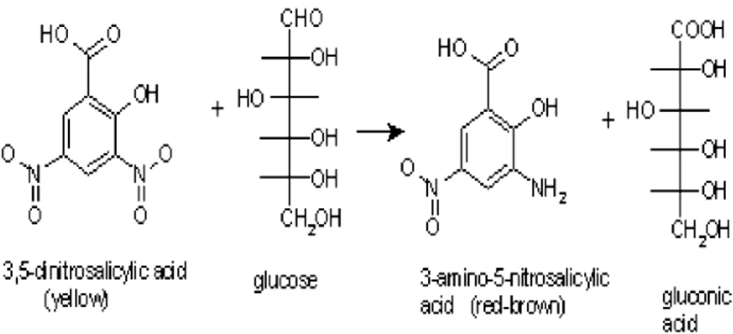 Figura 3.1 – Reazione di ossidoriduzione tra acido 3,5 – dinitrosalicilico e glucosio 