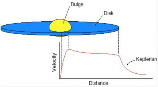 Figura 2.1: La curva di rotazione esprime la velocità in funzione del raggio. All’interno del bulge, la regione più interna, la velocità cresce con il raggio, mentre lungo il disco sembra non dipendere da quest’ultimo; oltre il raggio del disco, invece, in