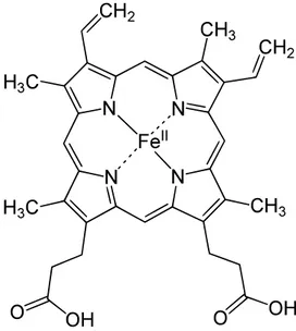 Figura 1.1: Gruppo eme. Le molecole d’ossigeno si legano all’atomo di Fe.