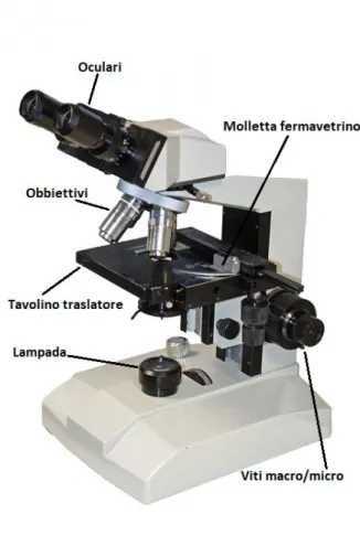Figura 1.4: Principali componenti di un microscopio ottico.