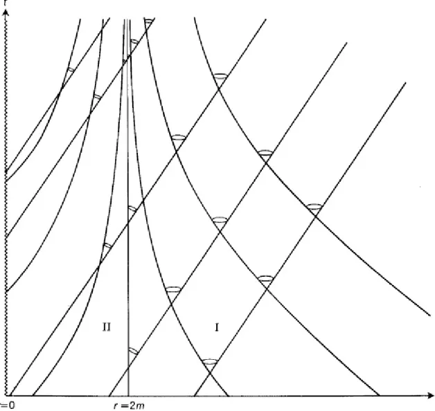 Figura 5.2: Soluzione di buco bianco