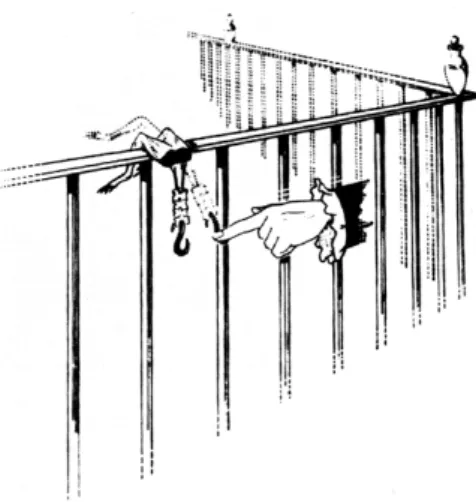 Figura 3.6: Esperimento della rana appesa alla ringhiera (Sirol 1939)