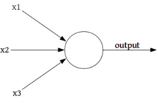 Figura 1.4: Rappresentazione di un percettrone, tipologia di neurone artificiale.