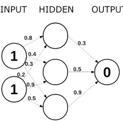 Figura 1.8: Operatore XOR su una rete neurale. Alle connessioni dei dati in ingresso sono assegnati dei pesi.