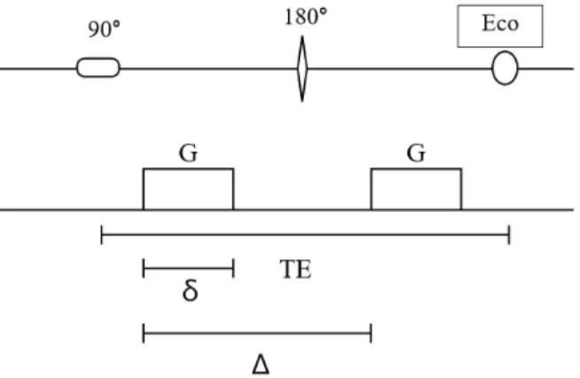 Figura 1.2: Sequenza Spin-Eco con gradienti pulsati [7].