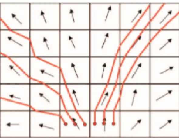 Figura 1.4: Metodo deterministico. Le frecce stanno ad indicare l’orientazione privilegiata e le linee in rosso le streamlines ricostruite [20].