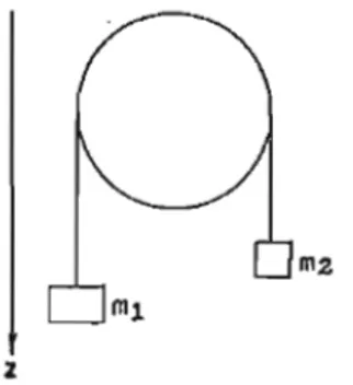 Figura 3.1: carrucola con masse m 1 e m 2