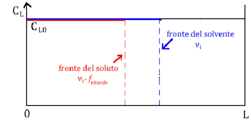 Figura 11 - Profili del fronte del solvente e del profilo del fronte ideale del soluto 