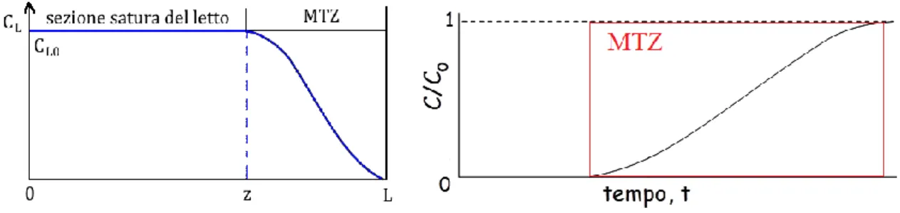 Figura 12 – Andamento MTZ lungo il letto di resina (a sinistra) e nel tempo (a destra) in funzione  della concentrazione nel liquido 