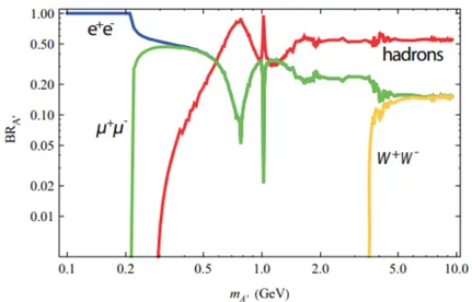 Figure 1.2: Predicted dark photons decay modes and their branching fractions for dif- dif-ferent dark photon mass values