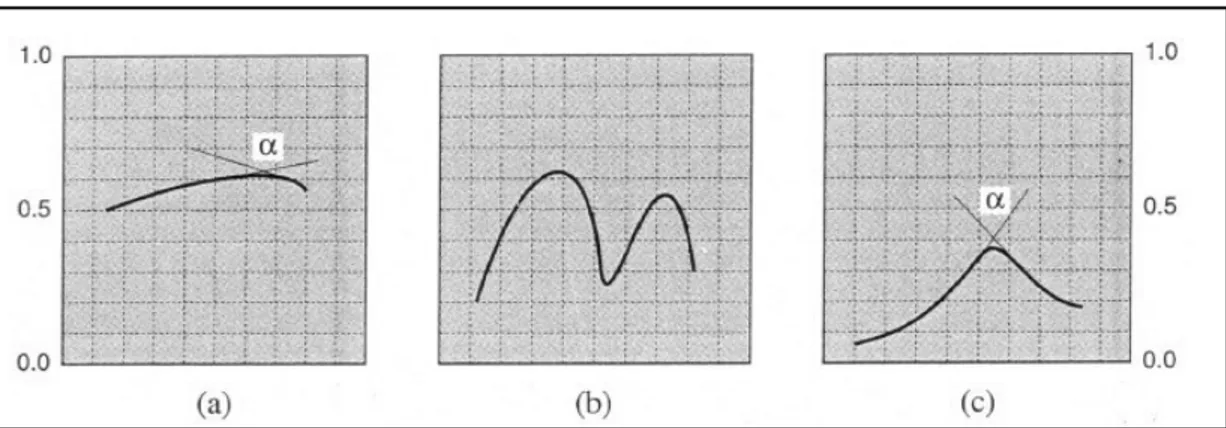 Figura 3.27: andamento della funzione di cross correlazione e parametro -α - Introduzione alla  fotogrammetria digitale, modificata da Zanutta et al.,2019 