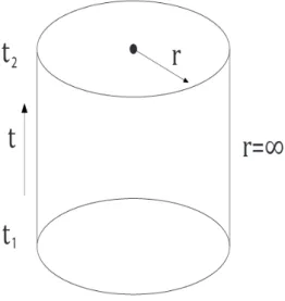 Figure 4.1: In order to depict the manifold, we reduced it to three dimensions, although it actually possesses four coordinates.