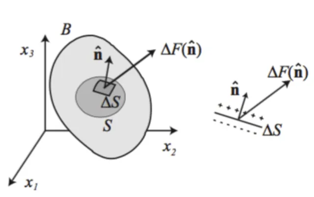 Figura 2: La forza ∆F descrive l’azione del materiale adiacente alla faccia positiva di ∆S (indicato con +) su quello adiacente alla faccia negativa (indicato con −)