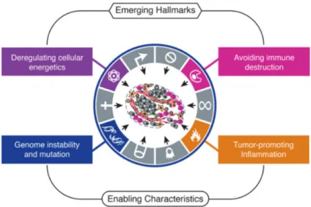 Figure 1.2: Emerging hallmarks and enabling characteristics.