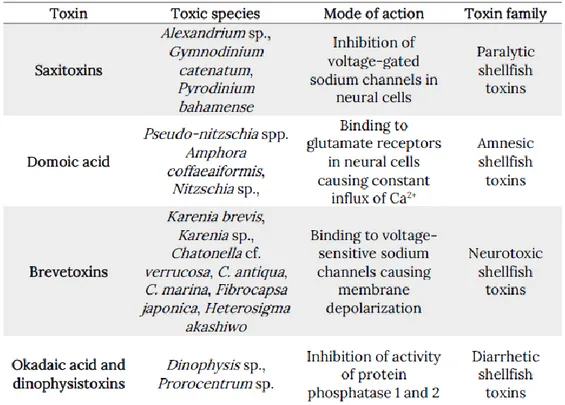 Table 1: The most common toxins produced by marine phytoplankton. 