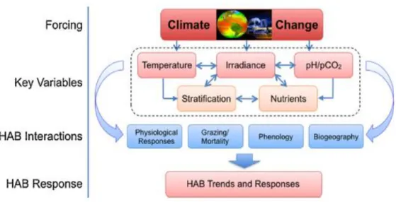Figure 1: The progression of climate change pressure on key variables and  related HAB interactions that will drive HAB responses in the future ocean  (Wells et al., 2015)