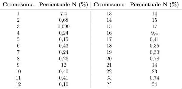 Tabella 1.2: Percentuali di basi sconosciute (N) nei vari cromosomi umani.